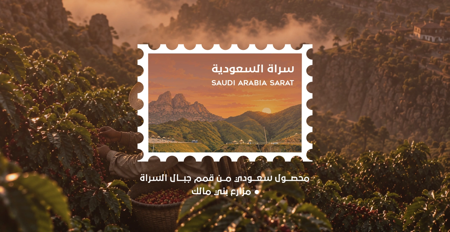 من أجواء كوفيماتكس